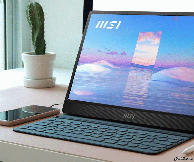MSI PRO MP161DE E2 Mobiler Monitor - IPS, Lautsprecher, USB-C_5
