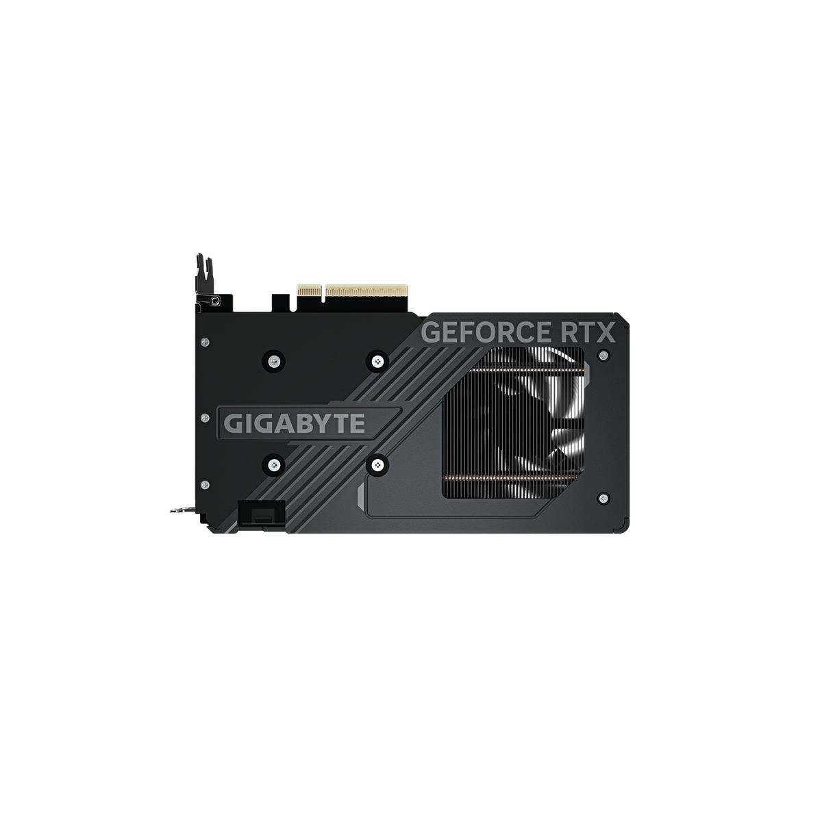 Bild von Gigabyte GeForce RTX 5060 8GB Windforce OC