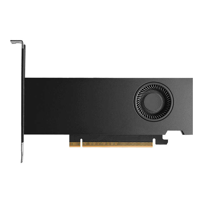 Bild von NVIDIA RTX PRO 2000 Blackwell