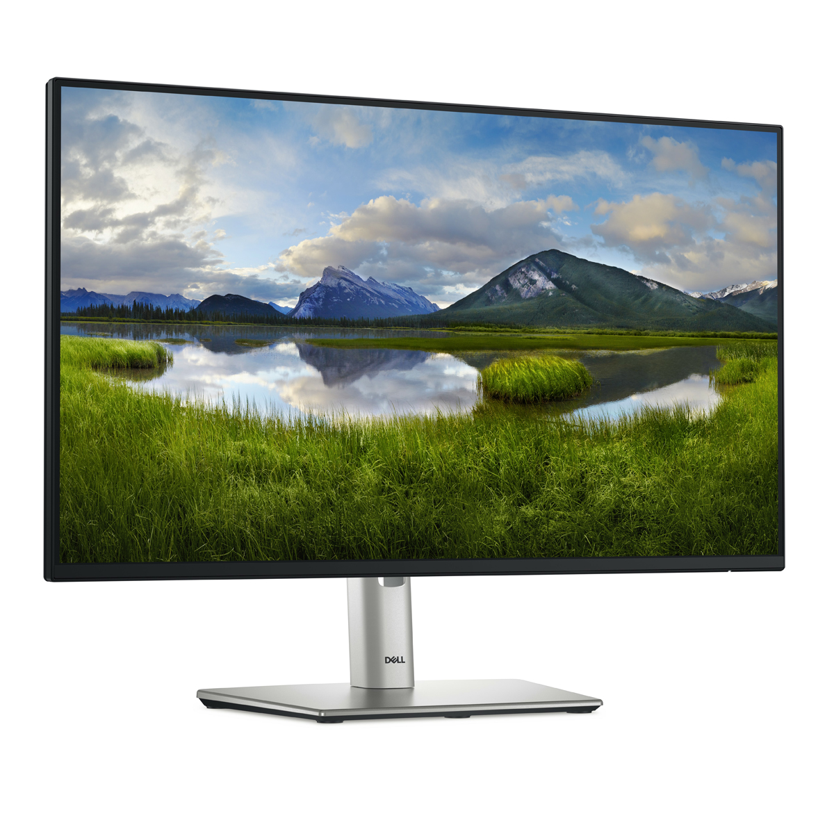 Bild von DELL P2425H Office Monitor