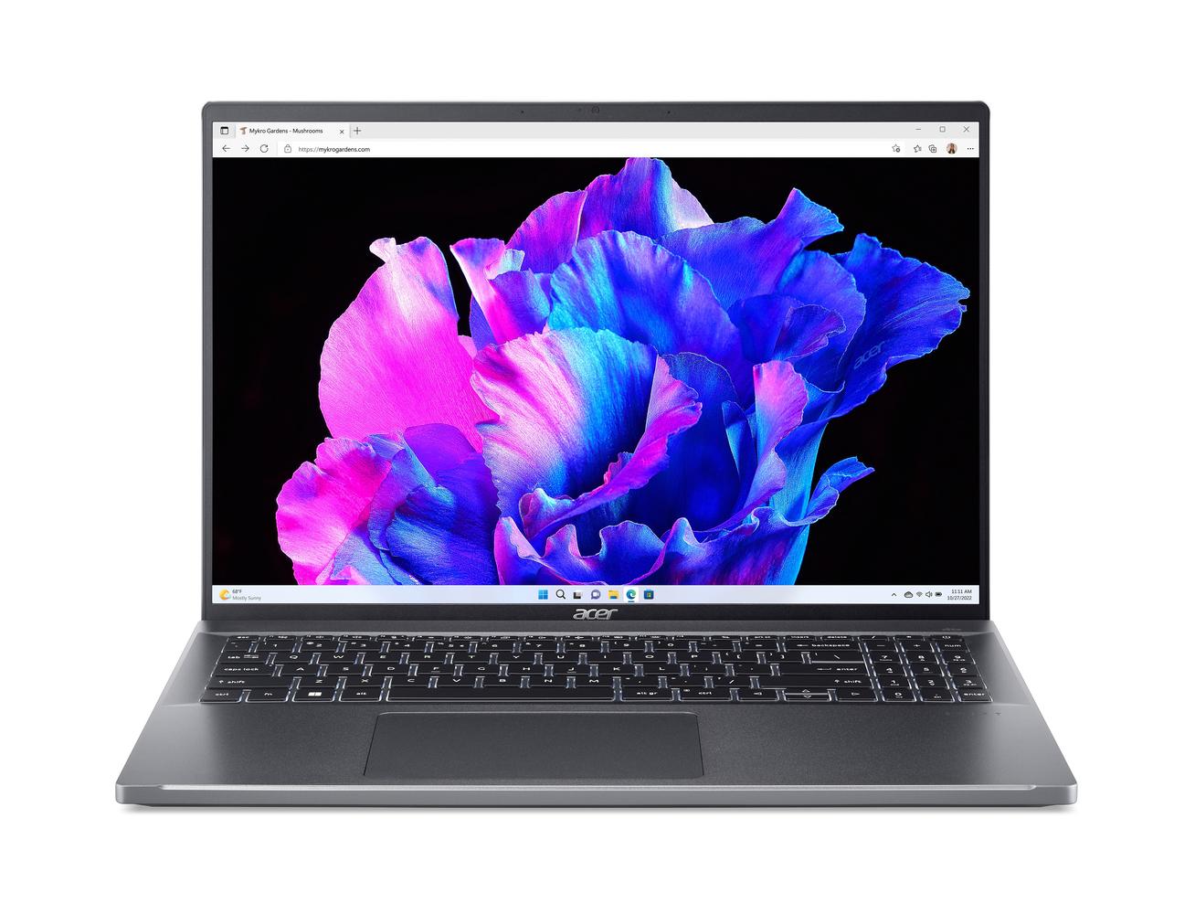 Bild von Acer Swift Go (SFG16-71-78CN) 16