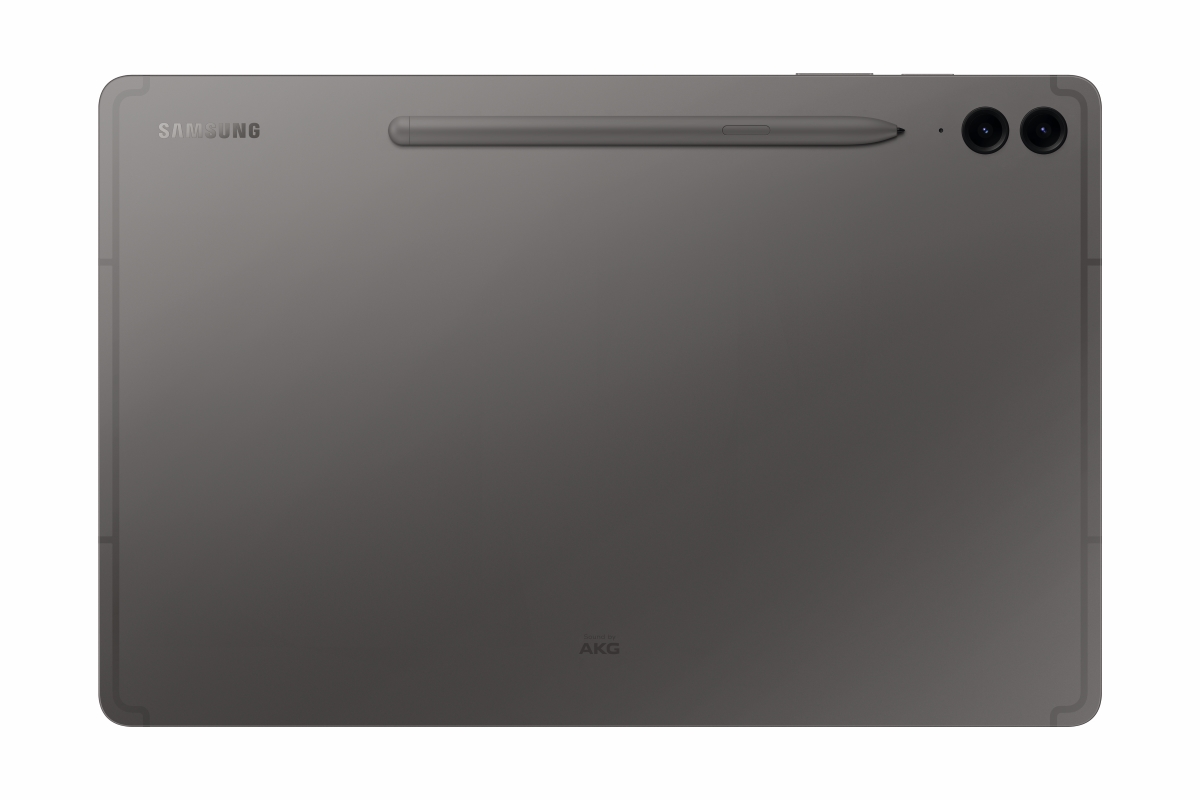 Bild von Samsung Galaxy Tab S9 FE+ Wi-Fi Gray 12,4