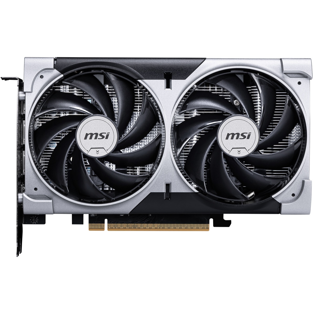 Bild von MSI GeForce RTX 5050 8G VENTUS 2X OC
