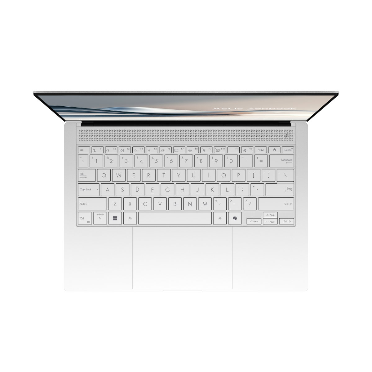 Bild von ASUS Zenbook S14 OLED UX5406SA-PV007W - 14