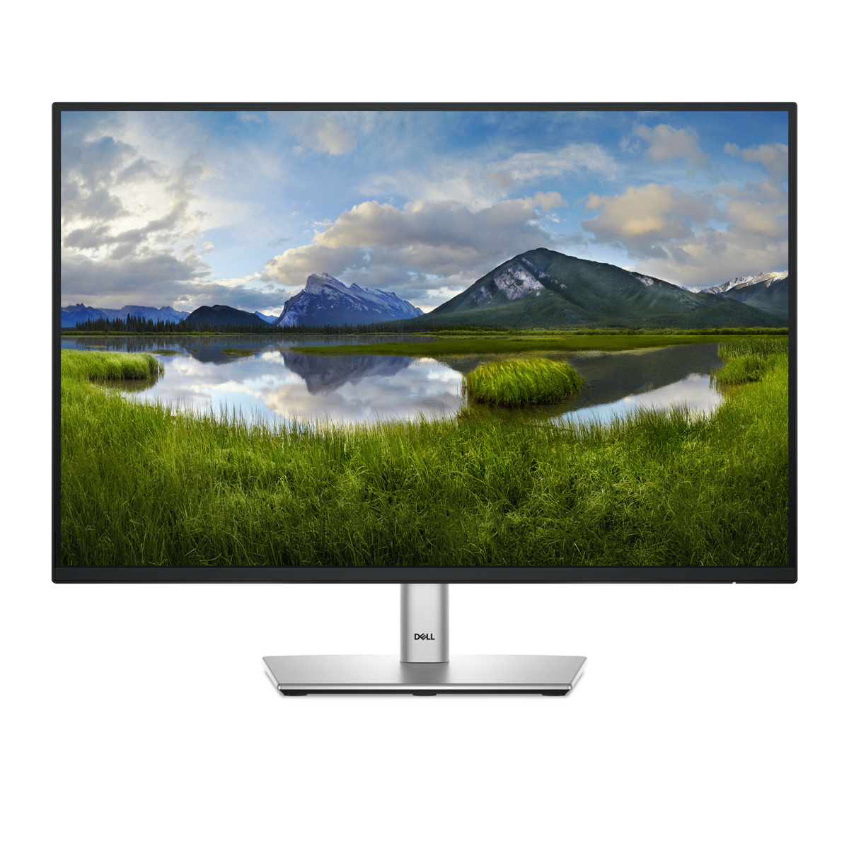 Bild von DELL P2425 Office Monitor