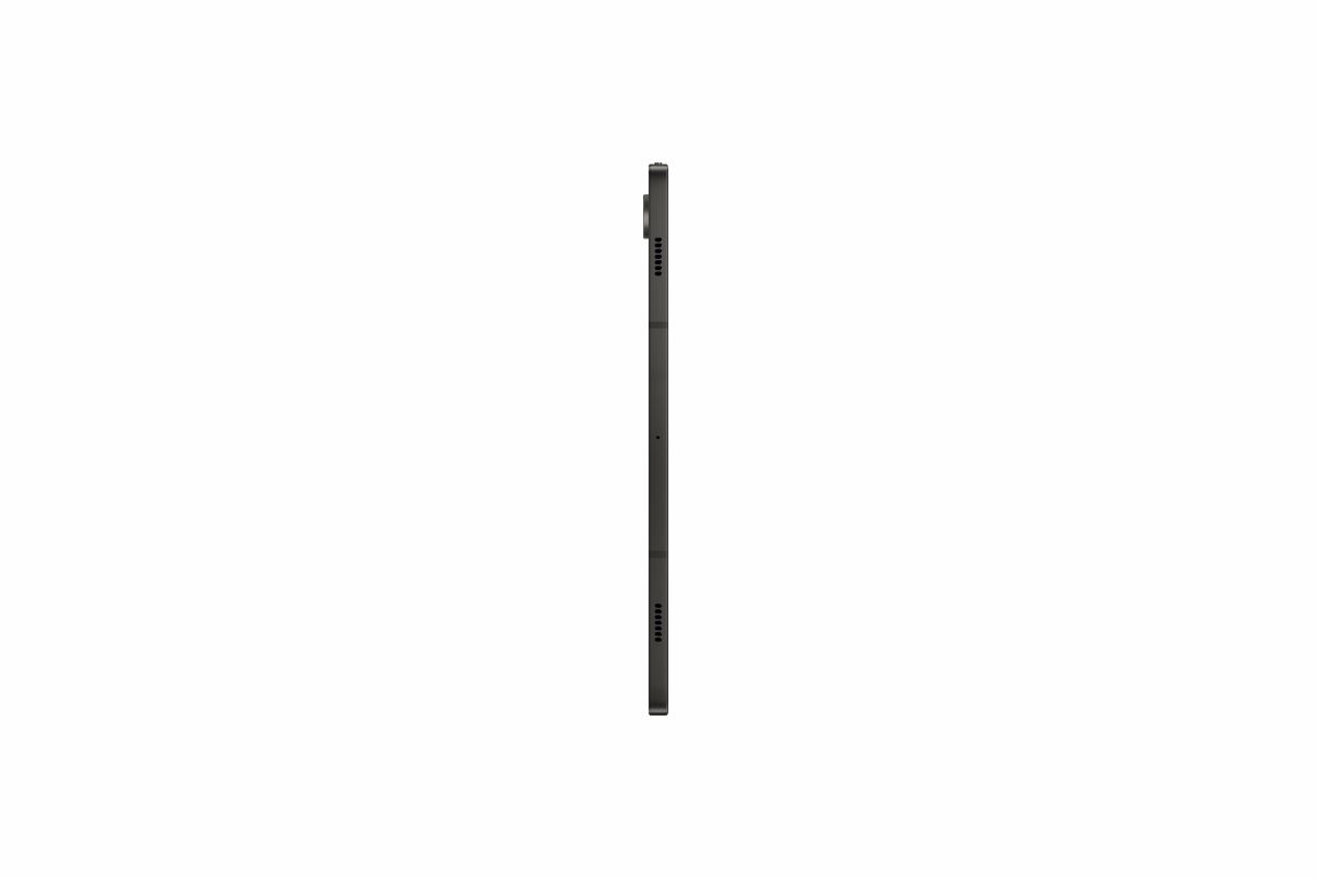 Bild von Samsung X710N Galaxy Tab S9 Wi-Fi 256 GB (Grau) 11