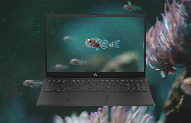 HP 250 G10 8X9V2ES_15