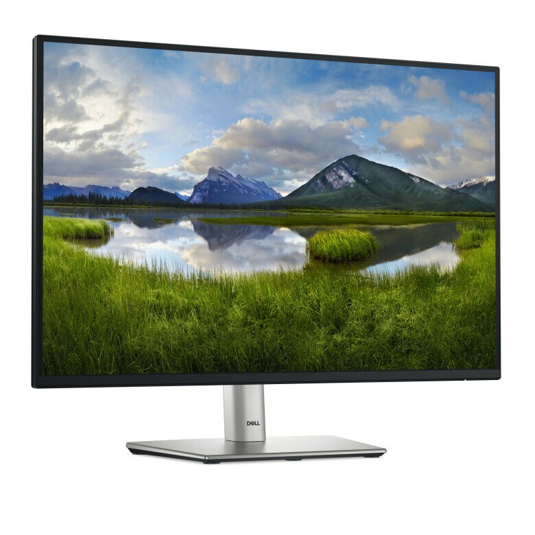 DELL P2425H Office Monitor_1