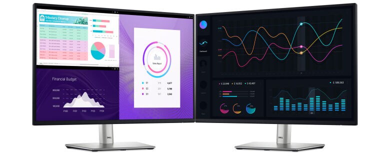 DELL P2225H Office Monitor_5