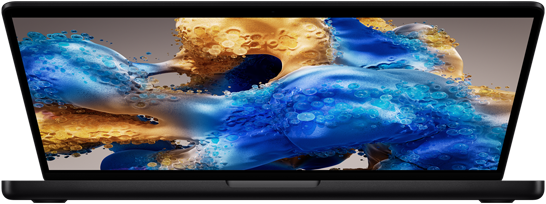 Apple MacBook Pro Space Schwarz MDE34D/A_3