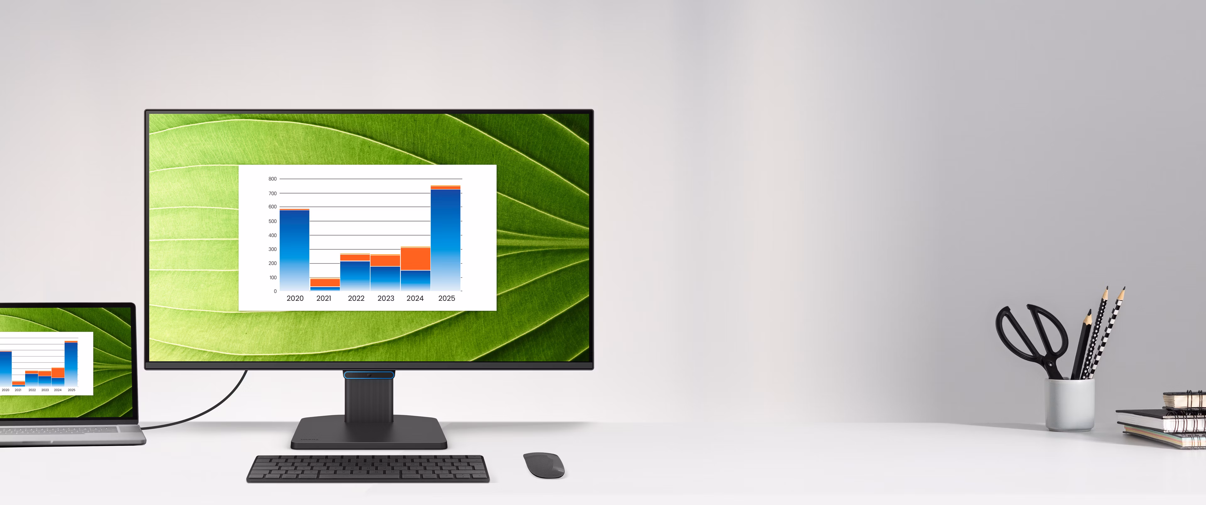 BenQ BL2490C Office Monitor 60,45 cm (23,8 Zoll) schwarz_1